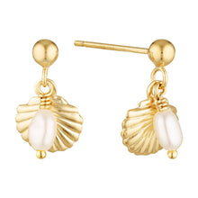 Load image into Gallery viewer, Seaside Gold Freshwater Pearl and Shell Drop