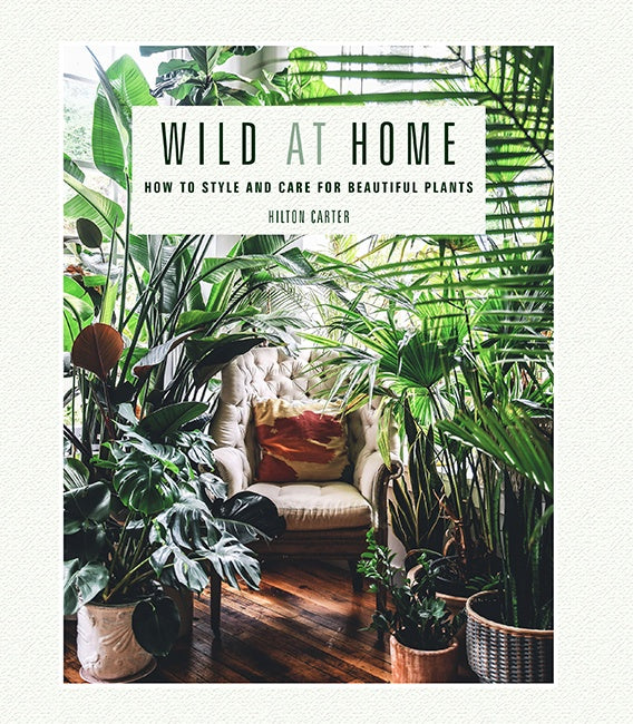 Wild At Home Book