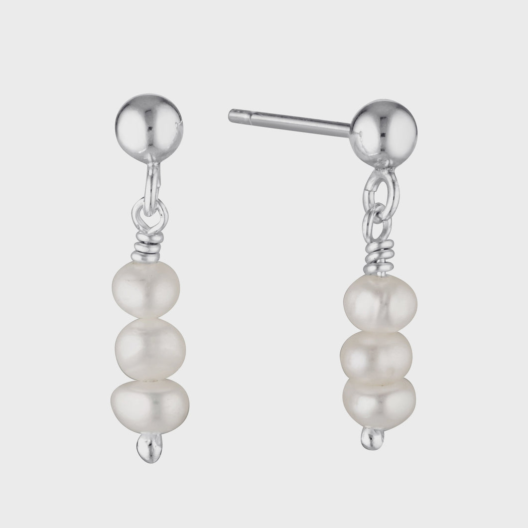 Ardour Drop Silver Earrings