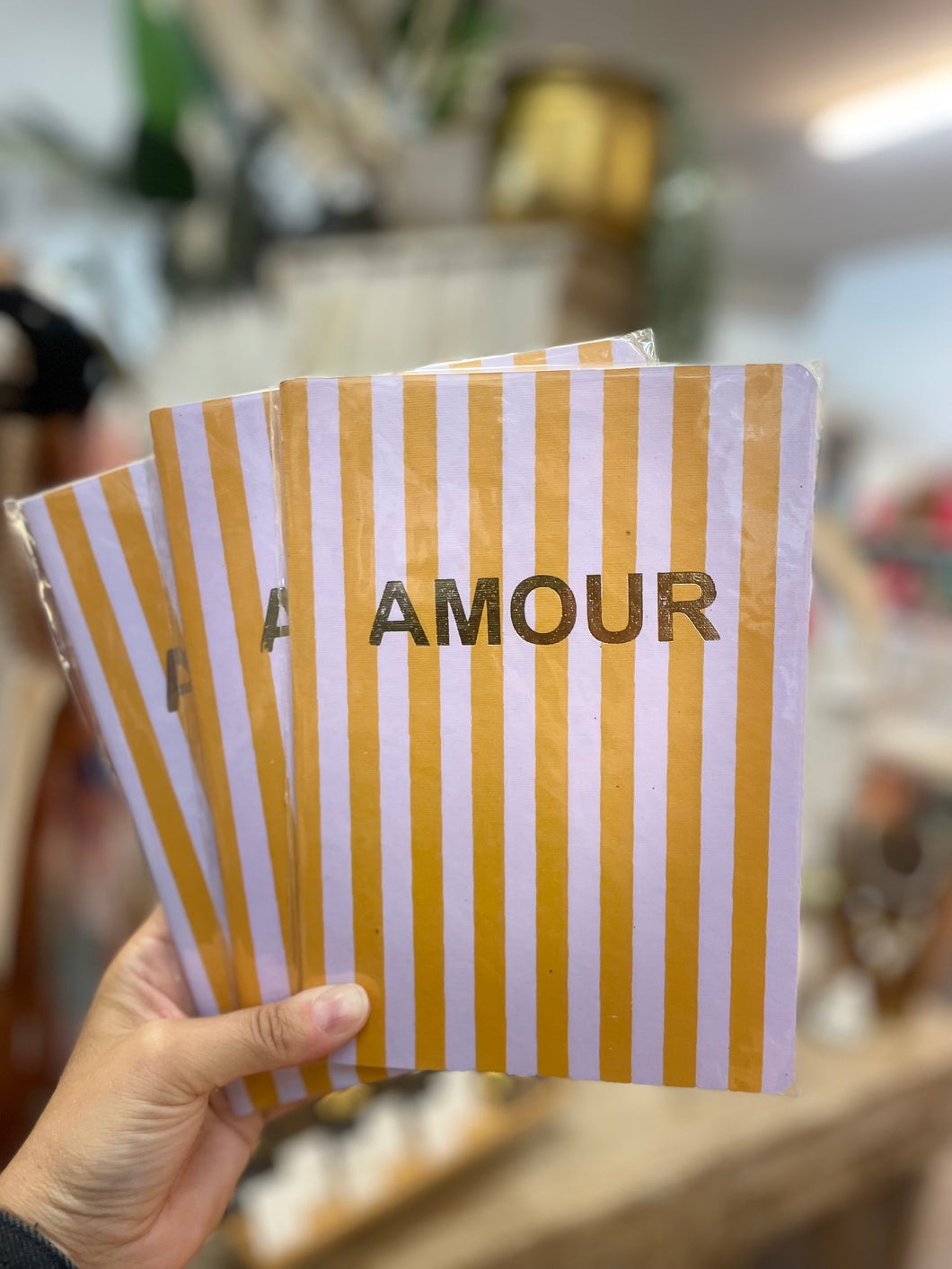 Stripe Notebook Amour